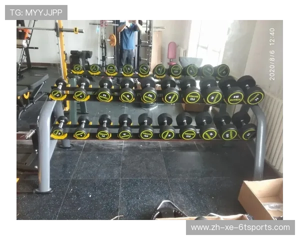 健身房各类健身器材价格区间与选购建议