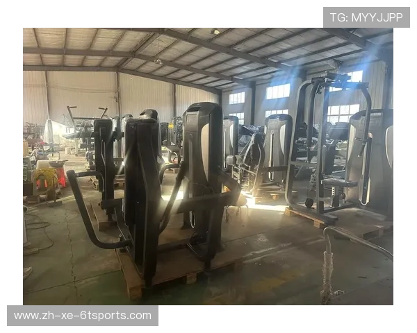 金石健身器材的使用好处与典型应用场景